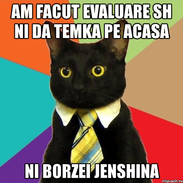 am facut evaluare sh ni da temka pe acasa ni borzei jenshina, Мем  Кошечка