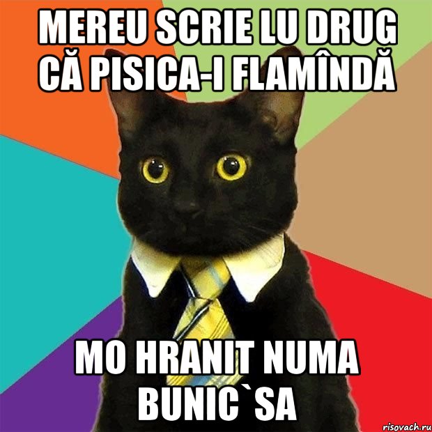 mereu scrie lu drug că pisica-i flamîndă mo hranit numa bunic`sa, Мем  Кошечка