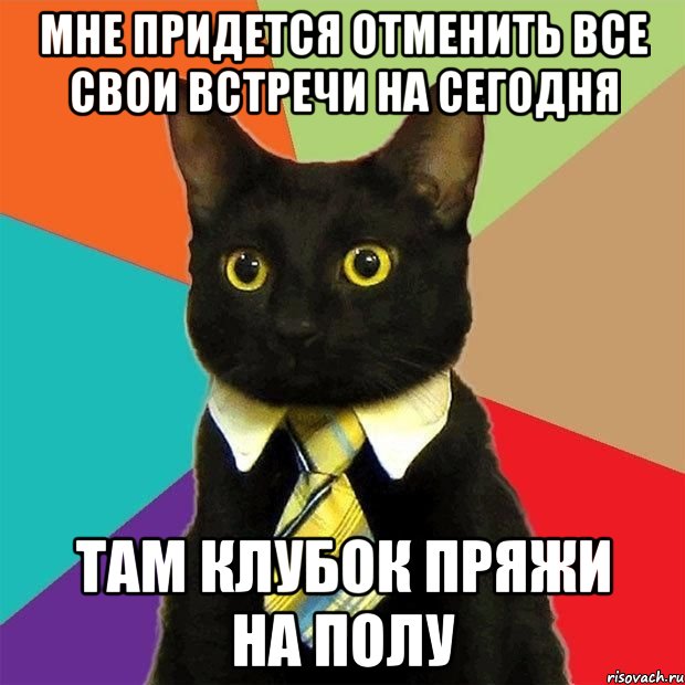 мне придется отменить все свои встречи на сегодня там клубок пряжи на полу, Мем  Кошечка