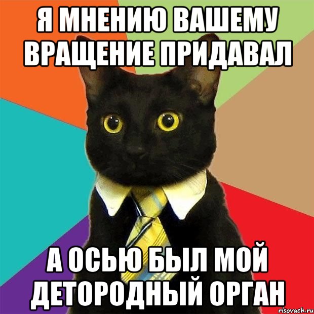 я мнению вашему вращение придавал а осью был мой детородный орган, Мем  Кошечка