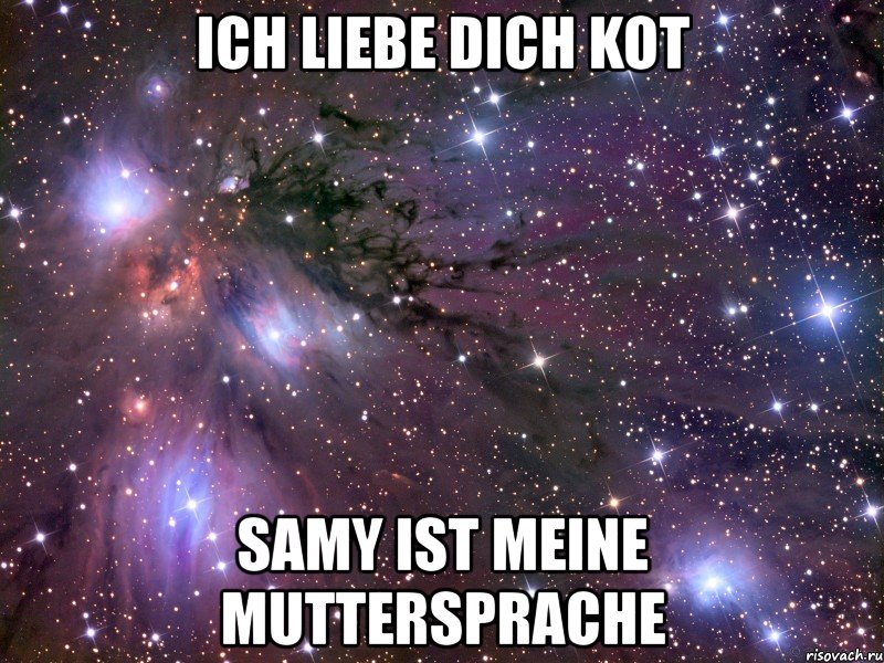 ich liebe dich kot samy ist meine muttersprache, Мем Космос