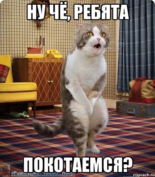 ну чё, ребята покотаемся?