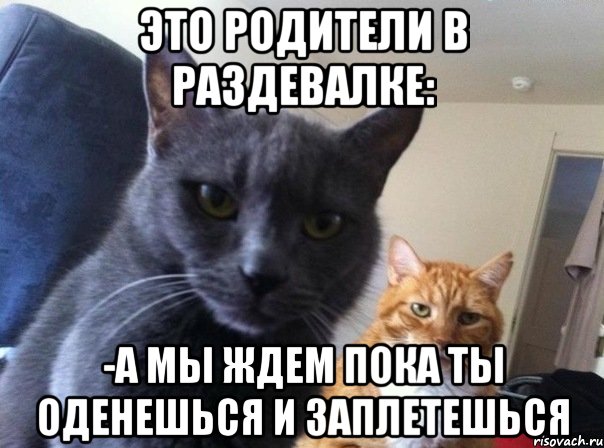 это родители в раздевалке: -а мы ждем пока ты оденешься и заплетешься