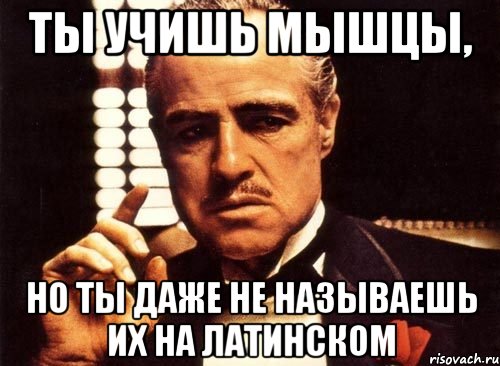 ты учишь мышцы, но ты даже не называешь их на латинском, Мем крестный отец