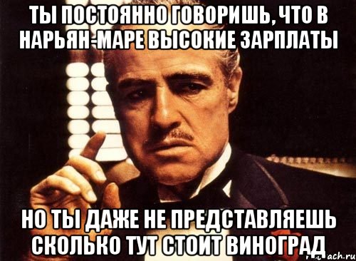 ты постоянно говоришь, что в нарьян-маре высокие зарплаты но ты даже не представляешь сколько тут стоит виноград, Мем крестный отец