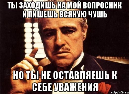 ты заходишь на мой вопросник и пишешь всякую чушь но ты не оставляешь к себе уважения, Мем крестный отец