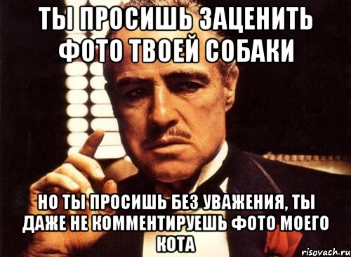 ты просишь заценить фото твоей собаки но ты просишь без уважения, ты даже не комментируешь фото моего кота, Мем крестный отец