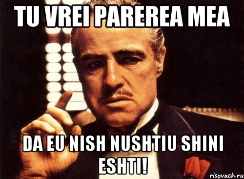 tu vrei parerea mea da eu nish nushtiu shini eshti!, Мем крестный отец