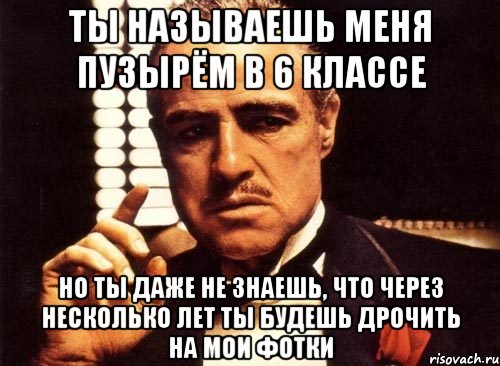 ты называешь меня пузырём в 6 классе но ты даже не знаешь, что через несколько лет ты будешь дрочить на мои фотки, Мем крестный отец