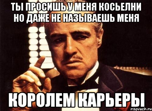 ты просишь у меня косьелни но даже не называешь меня королем карьеры, Мем крестный отец