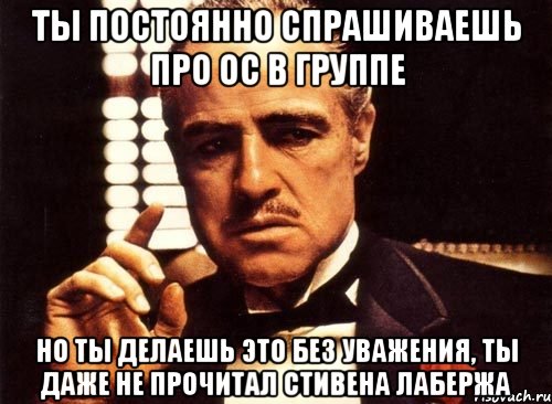 ты постоянно спрашиваешь про ос в группе но ты делаешь это без уважения, ты даже не прочитал стивена лабержа, Мем крестный отец