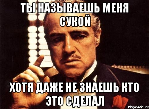 ты называешь меня сукой хотя даже не знаешь кто это сделал, Мем крестный отец