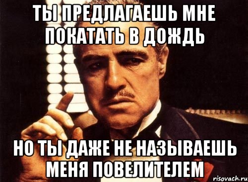 ты предлагаешь мне покатать в дождь но ты даже не называешь меня повелителем, Мем крестный отец