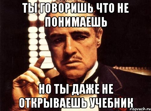 ты говоришь что не понимаешь но ты даже не открываешь учебник, Мем крестный отец