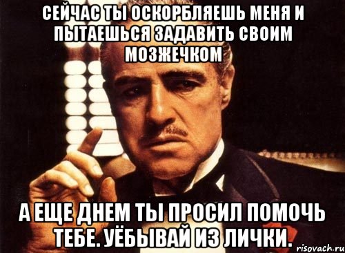 сейчас ты оскорбляешь меня и пытаешься задавить своим мозжечком а еще днем ты просил помочь тебе. уёбывай из лички., Мем крестный отец