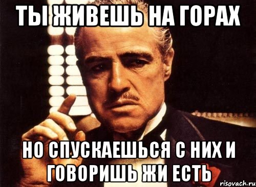 ты живешь на горах но спускаешься с них и говоришь жи есть, Мем крестный отец