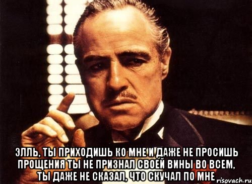  элль, ты приходишь ко мне и даже не просишь прощения ты не признал своей вины во всем, ты даже не сказал, что скучал по мне, Мем крестный отец