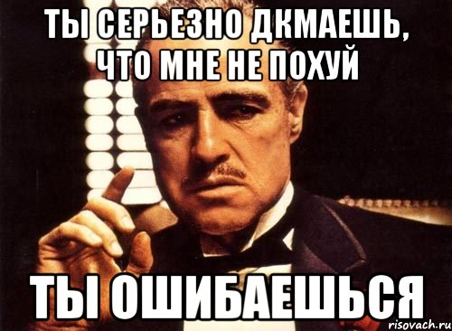 ты серьезно дкмаешь, что мне не похуй ты ошибаешься, Мем крестный отец