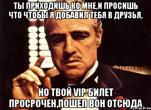 ты приходишь ко мне,и просишь что чтобы я добавил тебя в друзья, но твой vip билет просрочен,пошел вон отсюда, Мем крестный отец