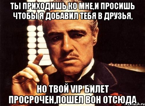 ты приходишь ко мне,и просишь чтобы я добавил тебя в друзья, но твой vip билет просрочен,пошел вон отсюда, Мем крестный отец