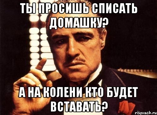 ты просишь списать домашку? а на колени кто будет вставать?, Мем крестный отец