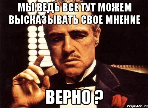 мы ведь все тут можем высказывать свое мнение верно ?, Мем крестный отец