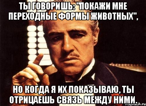 ты говоришь: "покажи мне переходные формы животных", но когда я их показываю, ты отрицаешь связь между ними., Мем крестный отец