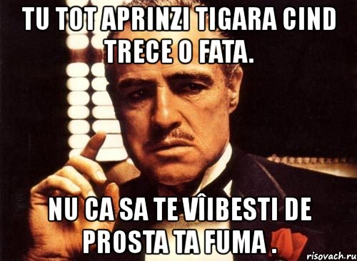 tu tot aprinzi tigara cind trece o fata. nu ca sa te vîibesti de prosta ta fuma ., Мем крестный отец