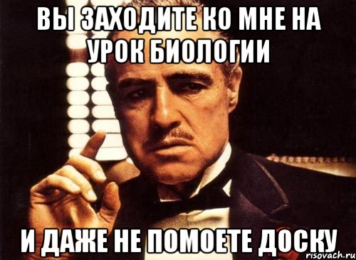 вы заходите ко мне на урок биологии и даже не помоете доску, Мем крестный отец