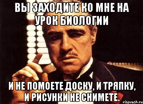 вы заходите ко мне на урок биологии и не помоете доску, и тряпку, и рисунки не снимете., Мем крестный отец