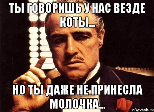 ты говоришь у нас везде коты... но ты даже не принесла молочка..., Мем крестный отец