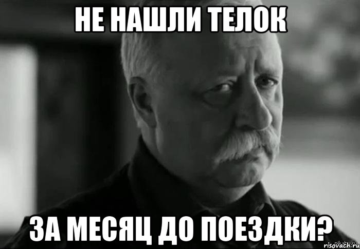 не нашли телок за месяц до поездки?, Мем Не расстраивай Леонида Аркадьевича