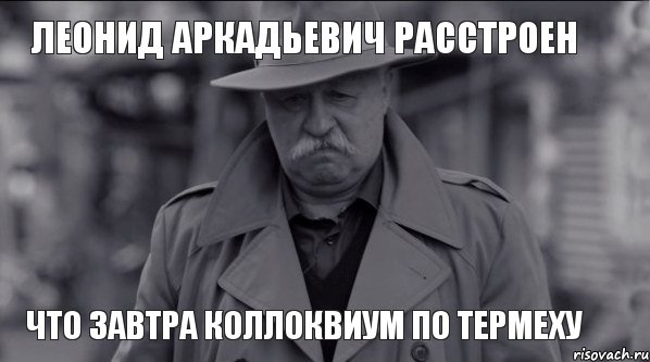 ЛЕОНИД АРКАДЬЕВИЧ РАССТРОЕН ЧТО ЗАВТРА КОЛЛОКВИУМ ПО ТЕРМЕХУ, Мем Леонид Аркадьевич