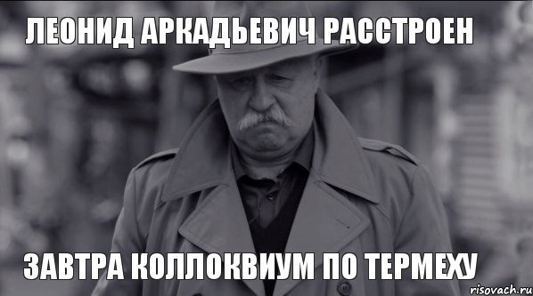 ЛЕОНИД АРКАДЬЕВИЧ РАССТРОЕН ЗАВТРА КОЛЛОКВИУМ ПО ТЕРМЕХУ, Мем Леонид Аркадьевич