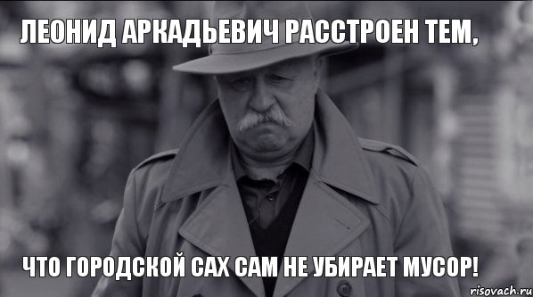 Леонид Аркадьевич расстроен тем, что городской САХ сам не убирает мусор!, Мем Леонид Аркадьевич