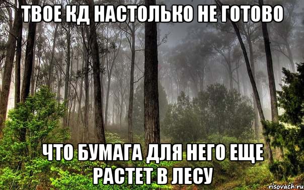 твое кд настолько не готово что бумага для него еще растет в лесу, Мем лес