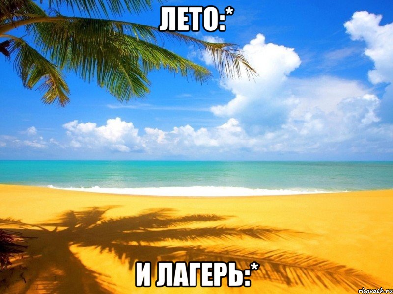 лето:* и лагерь:*