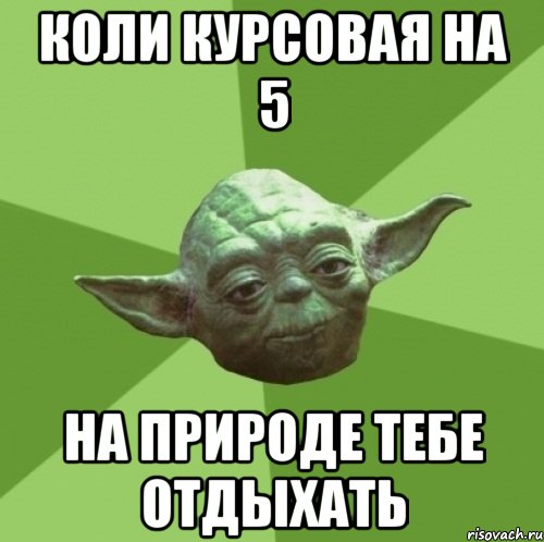 коли курсовая на 5 на природе тебе отдыхать, Мем Мастер Йода