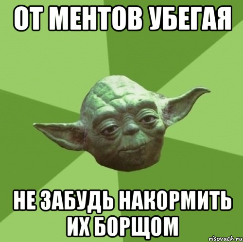 от ментов убегая не забудь накормить их борщом, Мем Мастер Йода