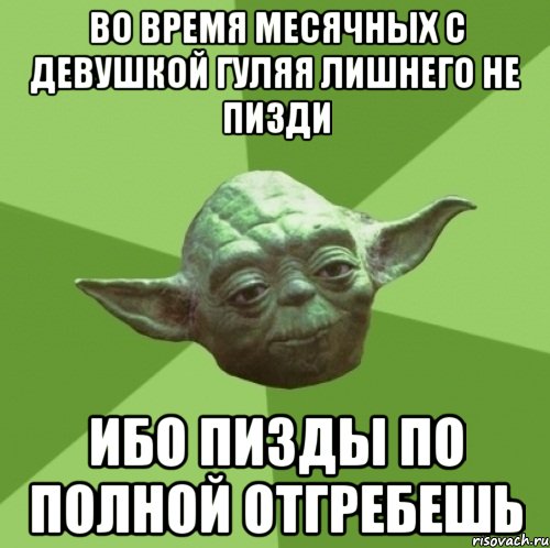 во время месячных с девушкой гуляя лишнего не пизди ибо пизды по полной отгребешь, Мем Мастер Йода