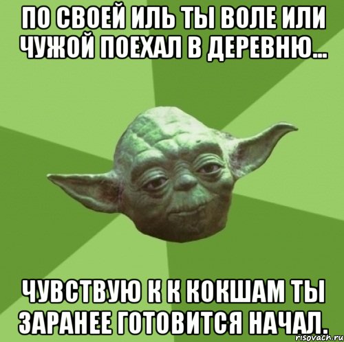 по своей иль ты воле или чужой поехал в деревню... чувствую к к кокшам ты заранее готовится начал., Мем Мастер Йода