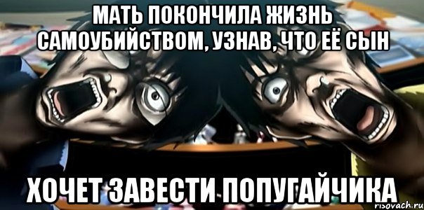 мать покончила жизнь самоубийством, узнав, что её сын хочет завести попугайчика, Мем Мать покончила жизнь самоубийств