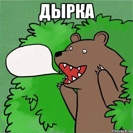 дырка , Мем Медведь