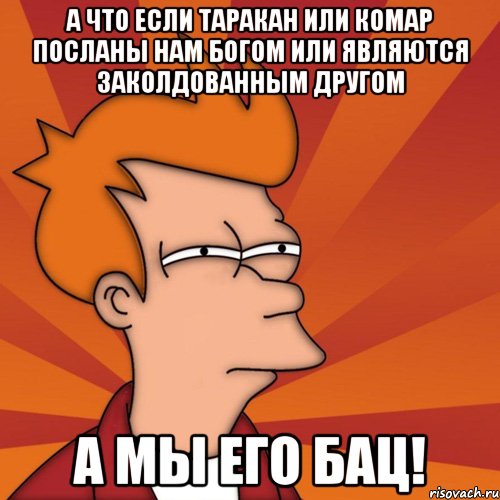 а что если таракан или комар посланы нам богом или являются заколдованным другом а мы его бац!, Мем Мне кажется или (Фрай Футурама)