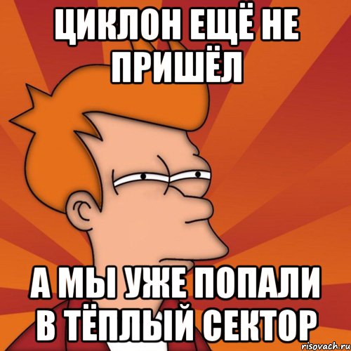 циклон ещё не пришёл а мы уже попали в тёплый сектор, Мем Мне кажется или (Фрай Футурама)