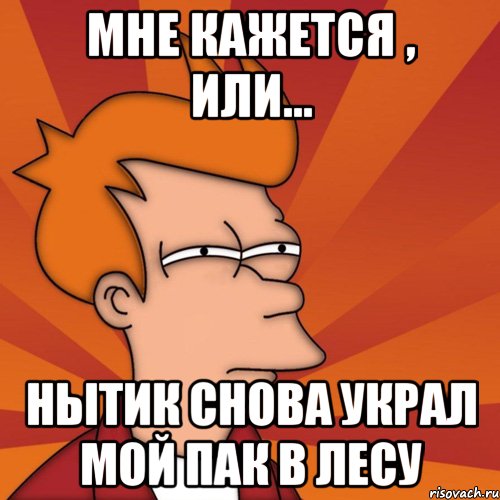 мне кажется , или... нытик снова украл мой пак в лесу, Мем Мне кажется или (Фрай Футурама)