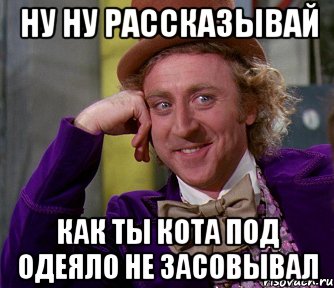 ну ну рассказывай как ты кота под одеяло не засовывал, Мем мое лицо