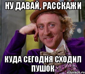 ну давай, расскажи куда сегодня сходил пушок, Мем мое лицо