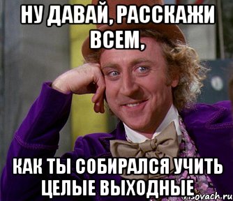 ну давай, расскажи всем, как ты собирался учить целые выходные, Мем мое лицо