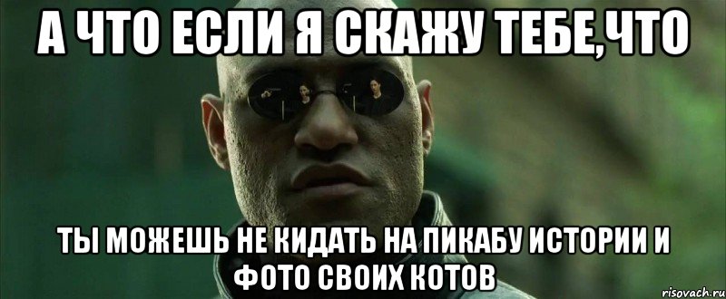 а что если я скажу тебе,что ты можешь не кидать на пикабу истории и фото своих котов, Мем  морфеус